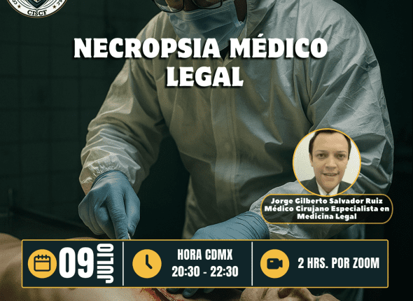 Captura de pantalla 2025-07-09 a las 10.59.47 p. m.